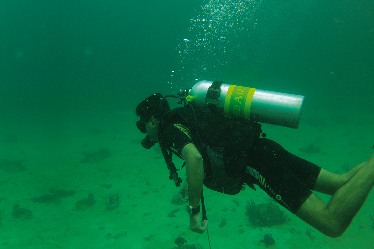 Into the deep blue