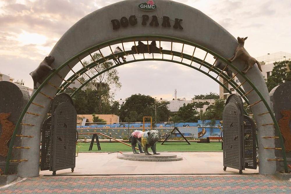 Парк дога Парк дога