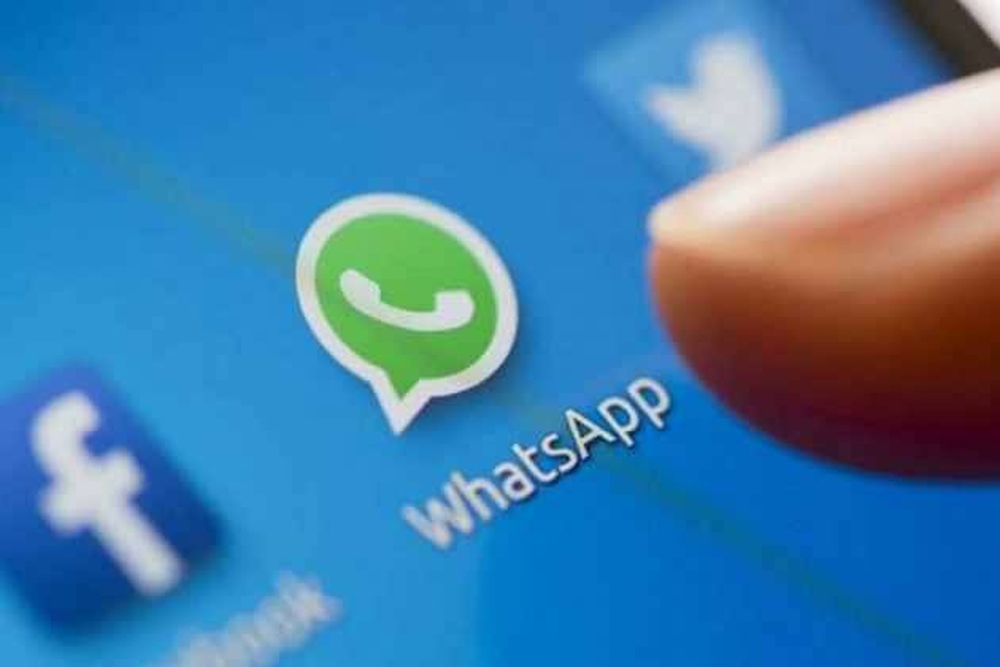WhatsApp, Signal May Not Require Licences To Operate In India: Report WhatsApp, Signal May Not Require Licences To Operate In India: Report