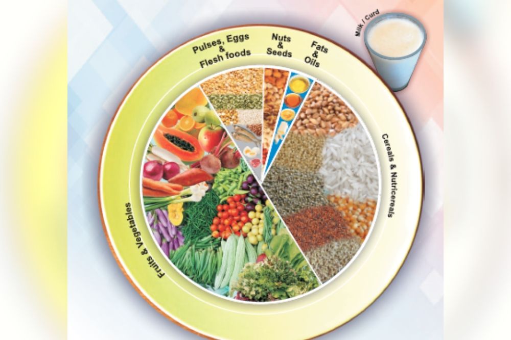 Healthy Food Plate