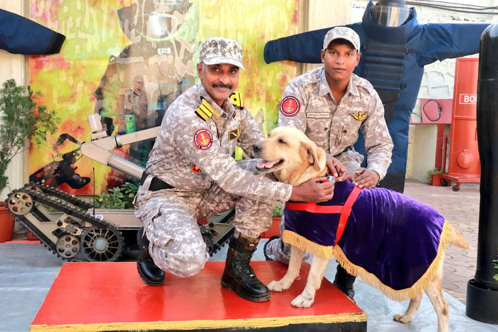 What Is Dog Watch In The Navy