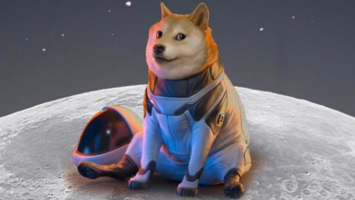 Whale Accumulation Alert: Dogecoin And A New Memecoin Price Set To Explode - Vimarsana News