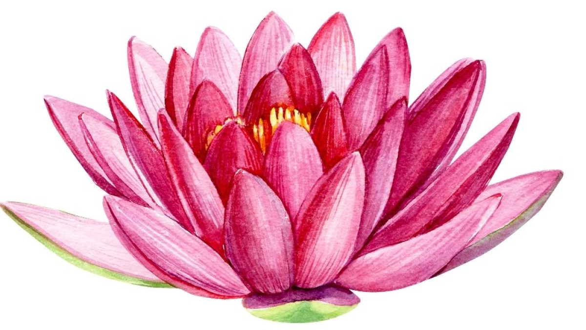The word Sādhanā bears a spiritual connotation that refers to an austere practice. The word Sādhanā bears a spiritual connotation that refers to an austere practice.
