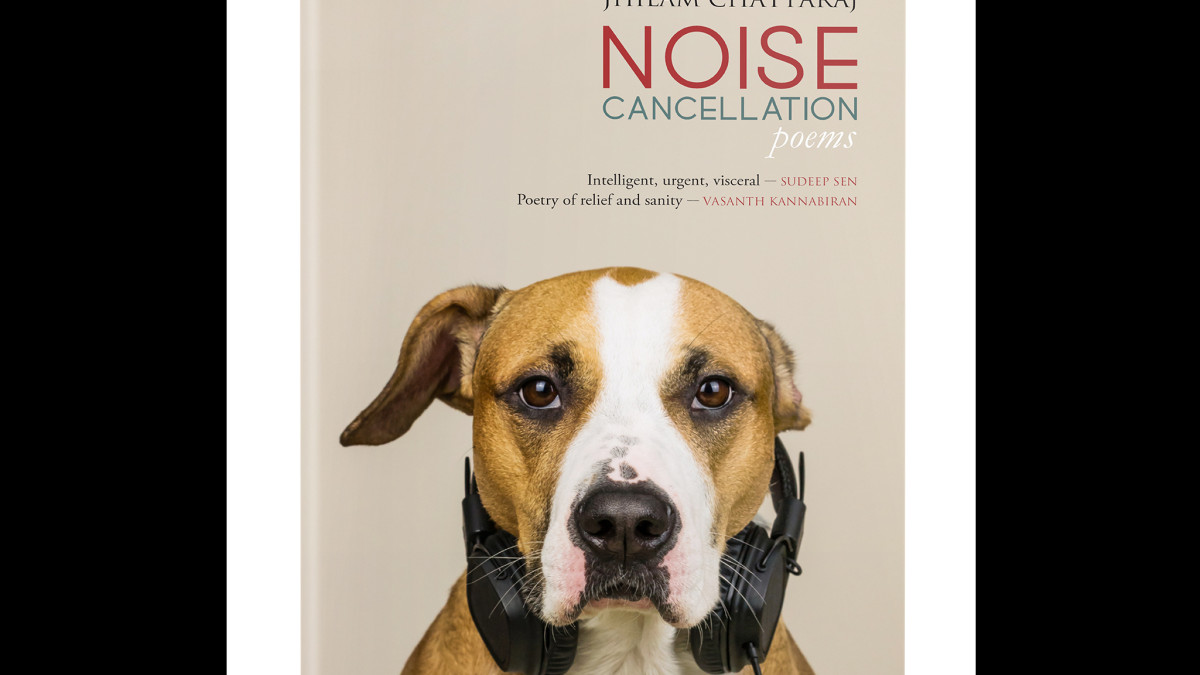 Noise book cover