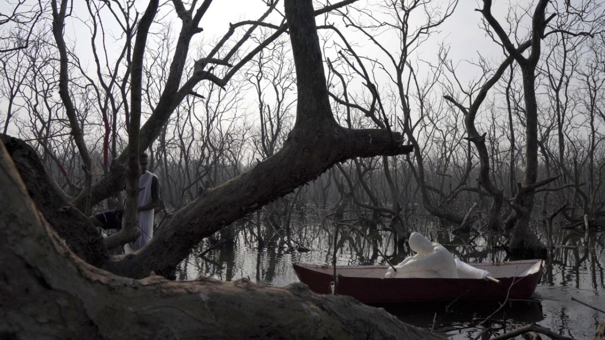 India Ranked Best G-20 Nations Under Global Climate Change Performance Index - Outlook India