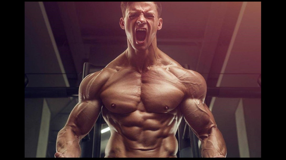 Best Legal Steroids (USA): Top 4 Anabolic Steroids For Muscle Growth &  Natural Body Building