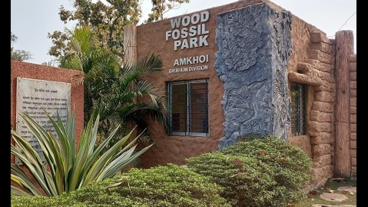 Step Back In Time At Amkhoi Fossil Park