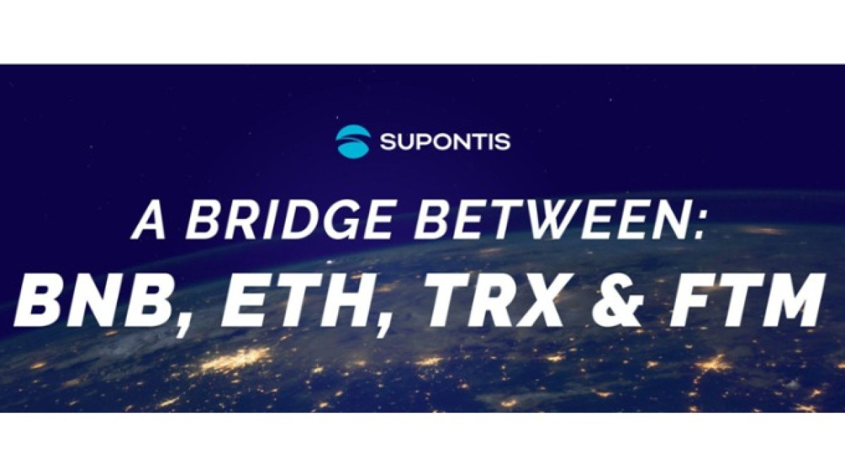 Long-Term Cryptocurrency Investments For The Bear Market Long-Term Cryptocurrency Investments For The Bear Market