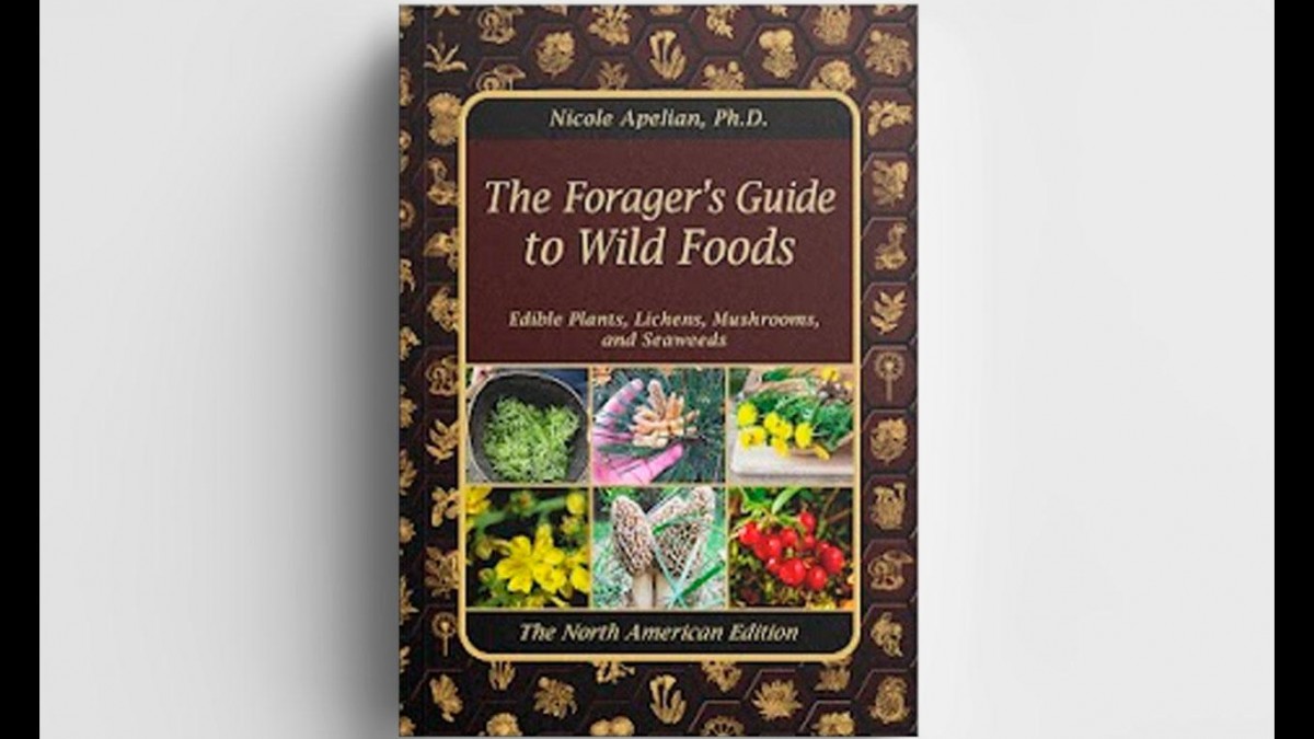 The Forager’s Guide to Wild Foods Review [Dr. Nicole Apelian] Edible
