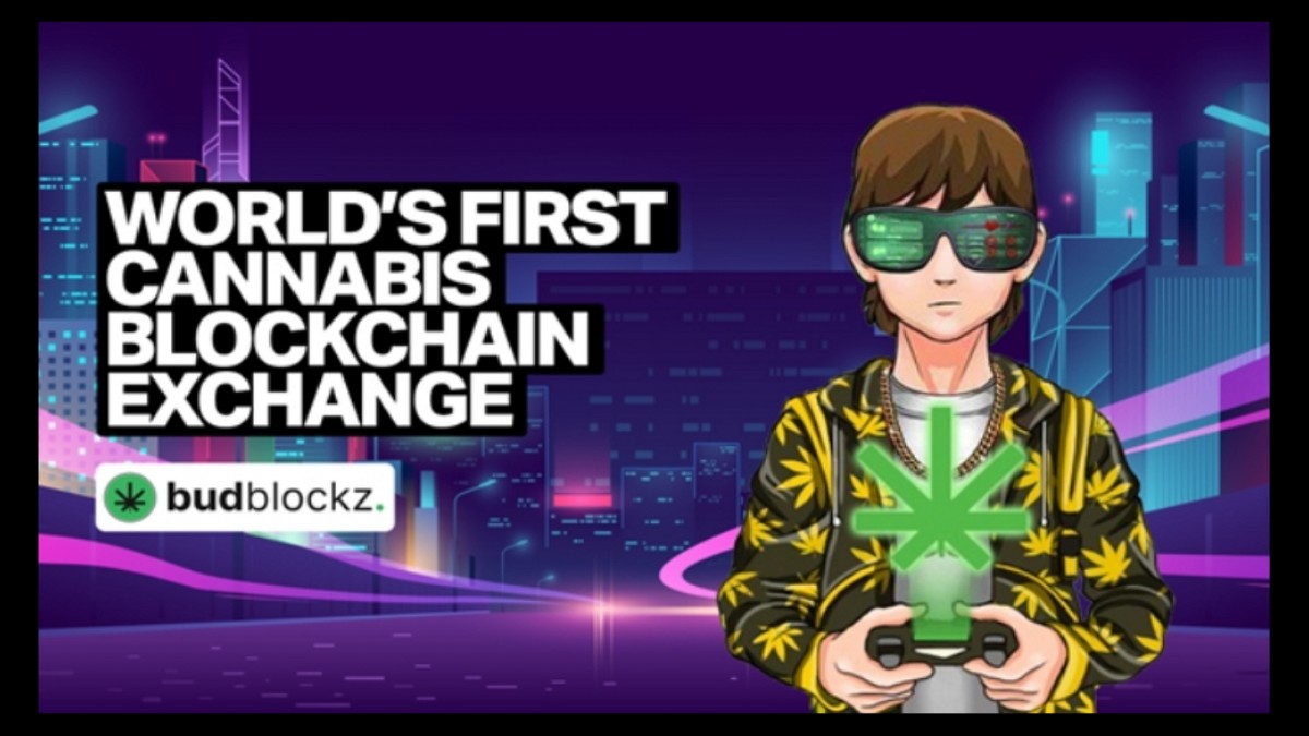 Budblockz Set For Bullish Winter, Can Saudi Shiba Inu Compete Budblockz Set For Bullish Winter, Can Saudi Shiba Inu Compete