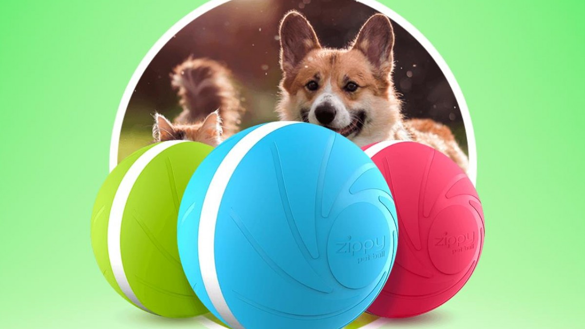 Peppy Pet Ball Reviews Does This Ball Worth Buying?