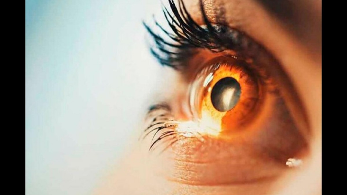 Compare Top Vision Health Supplements Compare Top Vision Health Supplements