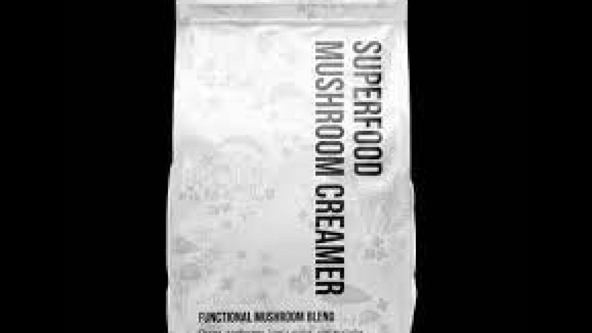 Best Mushroom Coffee