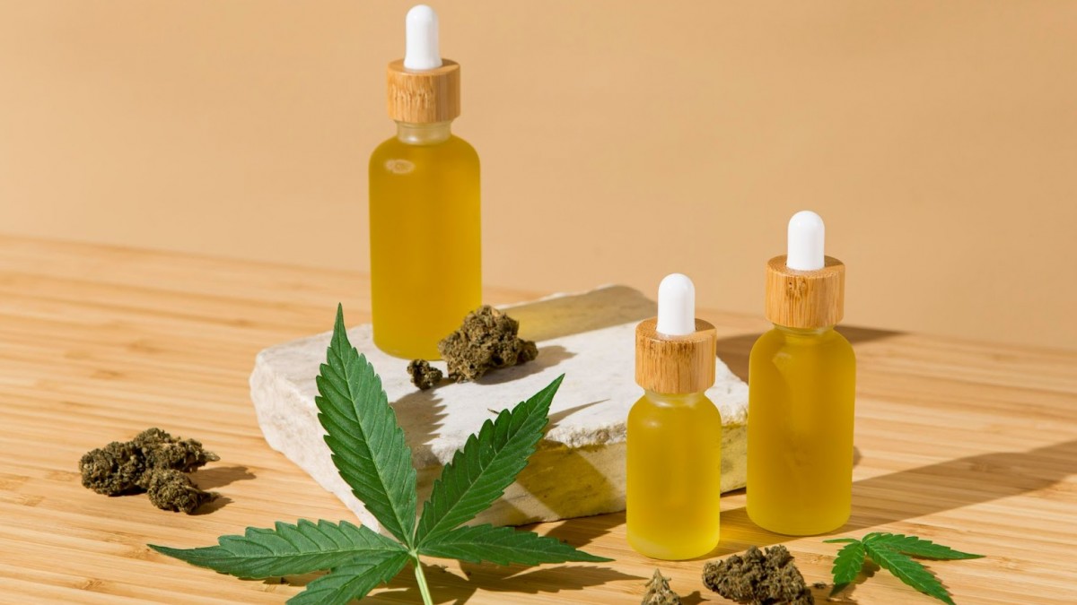 Top 5 CBD Stores For Hemp Oil In 2023 Top 5 CBD Stores For Hemp Oil In 2023