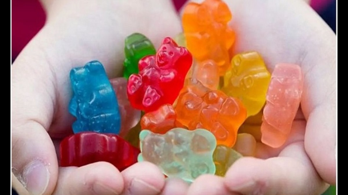 Bioscience Keto Gummies Reviews (Scam Exposed) Must Read Bio Science