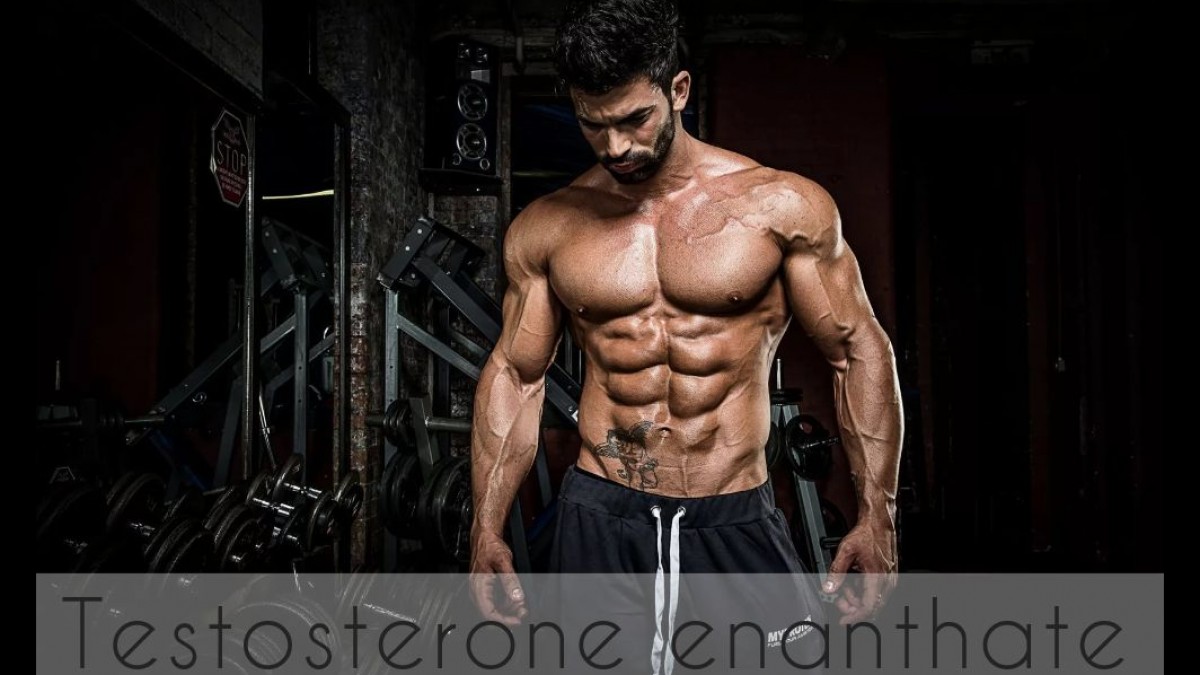Testosterone Enanthate For Sale Testosterone Enanthate For Bodybuilding! Read Before & After