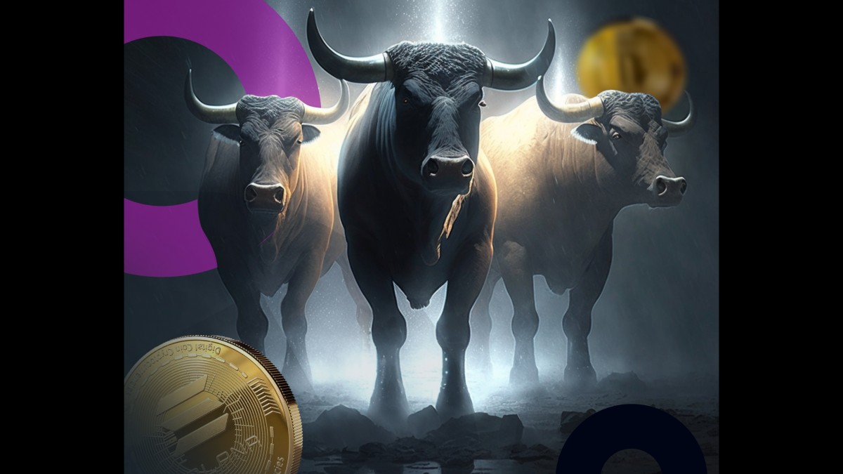 Solana (SOL) Price Prediction – Shiba Inu (SHIB) Sees Renewed Popularity While Collateral Network (COLT) Set To Surge 35x - Vimarsana News