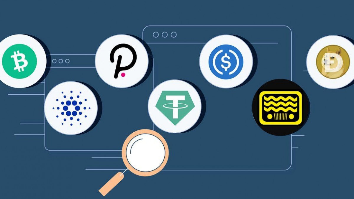 3 Best High-Yield Cryptos For 2023: Bitcoin Cash, Script Network And Polkadot - Vimarsana News