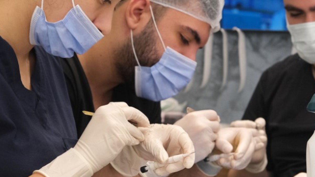 Voted The BEST Turkish Hair Transplant Clinic Of 2023: How BlueMagic Group Is Setting The Standard - Vimarsana News