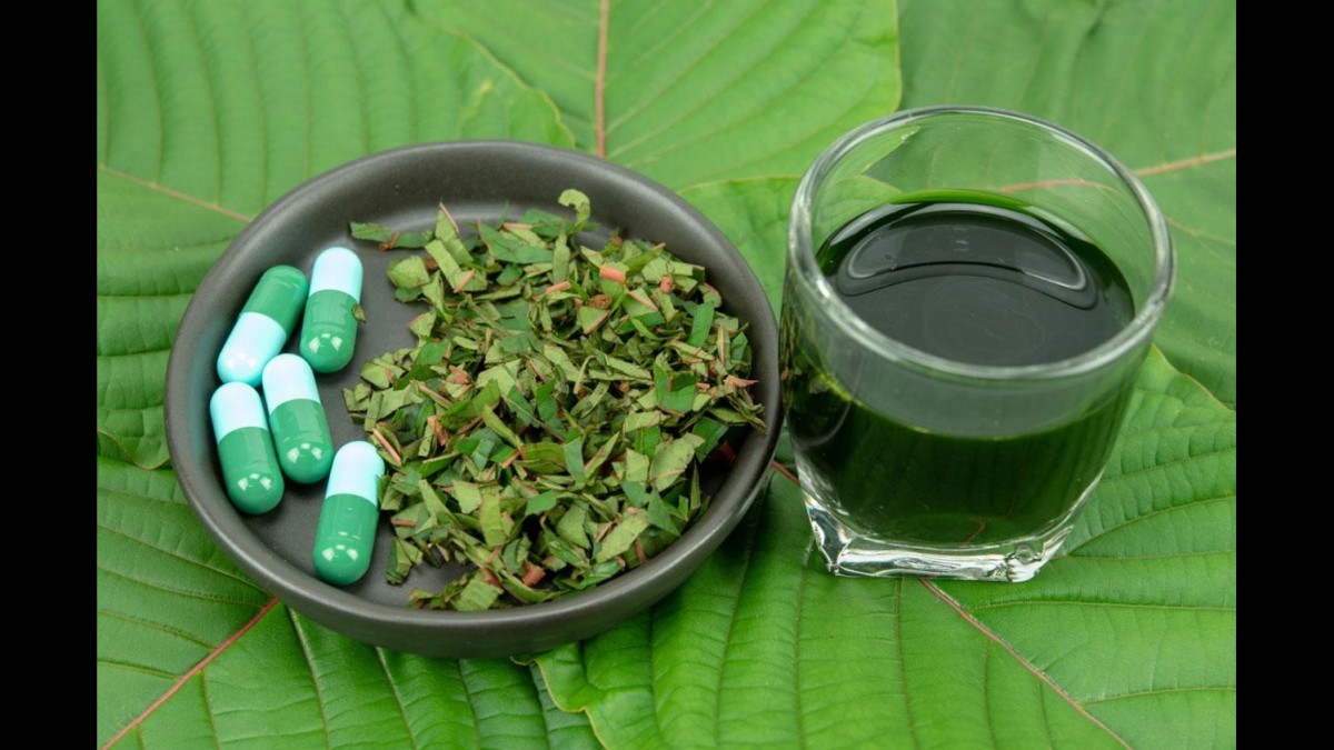 Best Kratom Strains: Top Kratom Products From High Quality Kratom Vendors - Vimarsana News