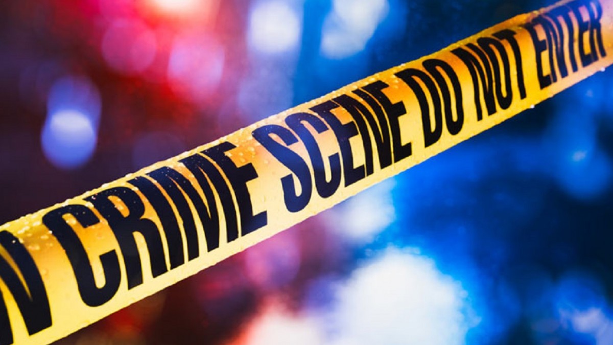 Delhi Girl Stabbed 20 Times And Bludgeoned To Death On Road As People Walk By - Vimarsana News