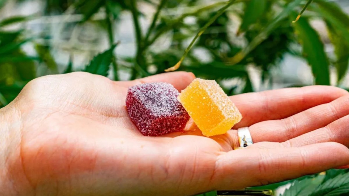 Truth CBD Gummies Reviews (Hidden Reports) Real CBD Gummies Truth