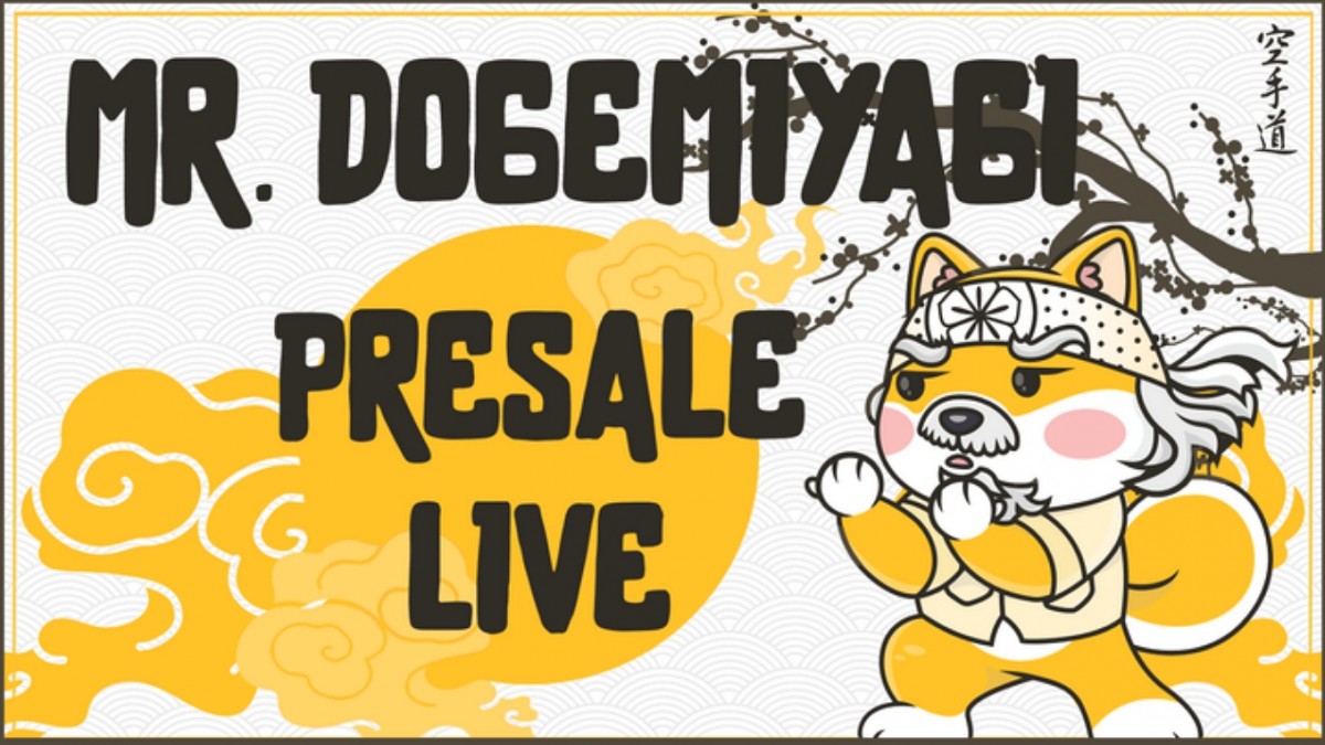 Price volatility in Dogecoin - are Floki Inu and DogeMiyagi safer investments? - Vimarsana News