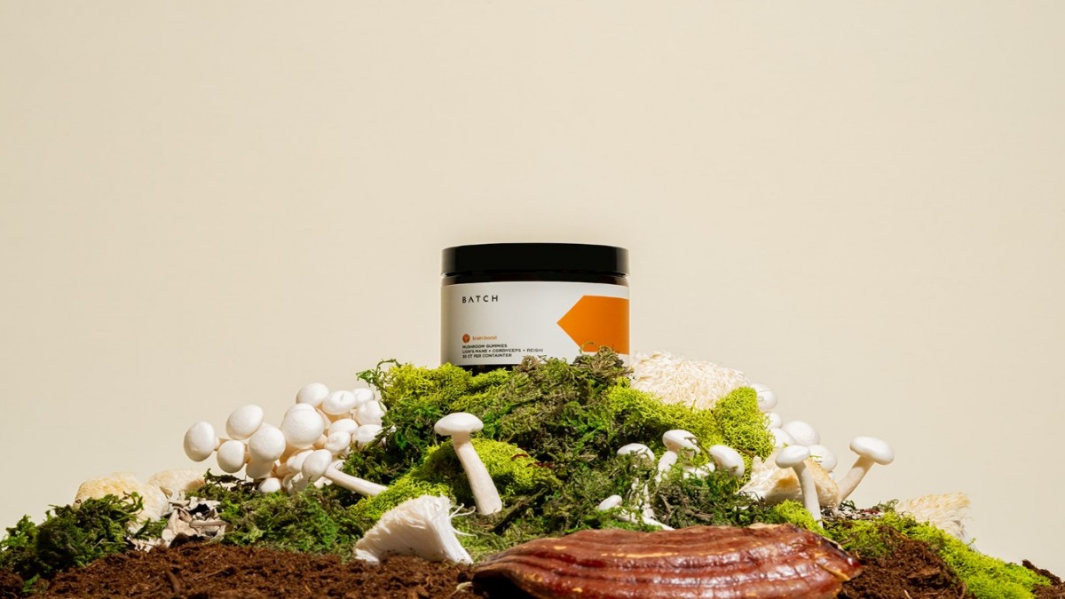 Lion’s Mane For Sale Where To Buy Lion's Mane Mushroom Supplements In