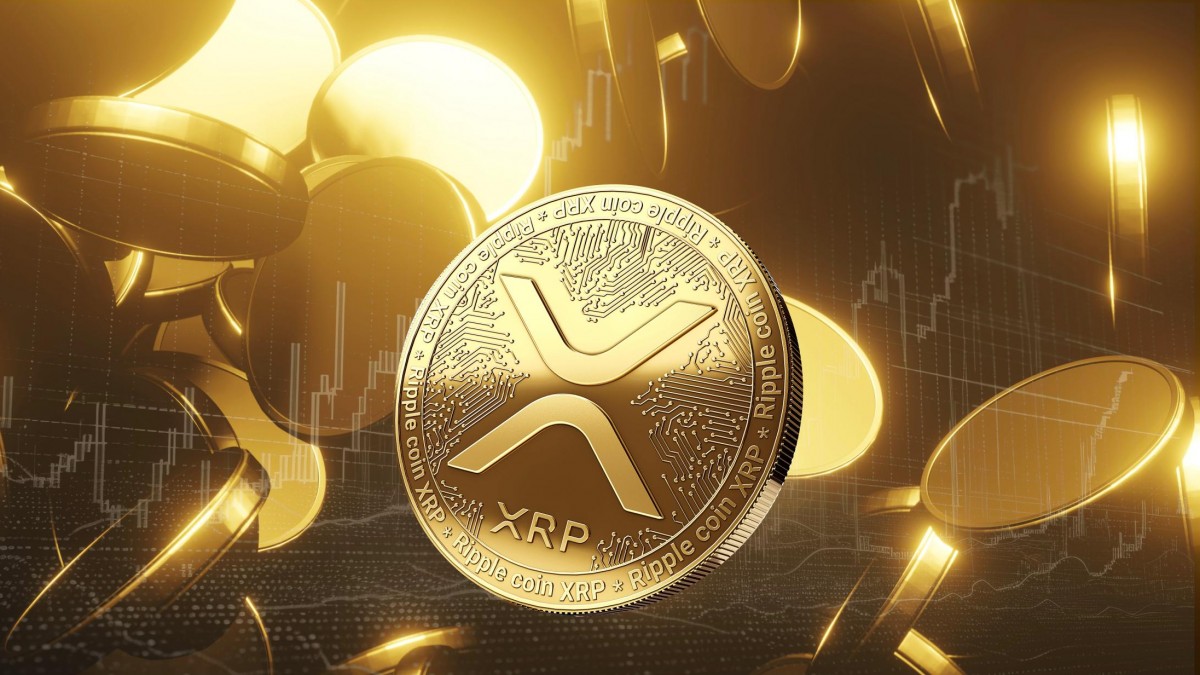 Are XRP And Tradecurve The Most Traded Tokens On India'S Top Exchange?