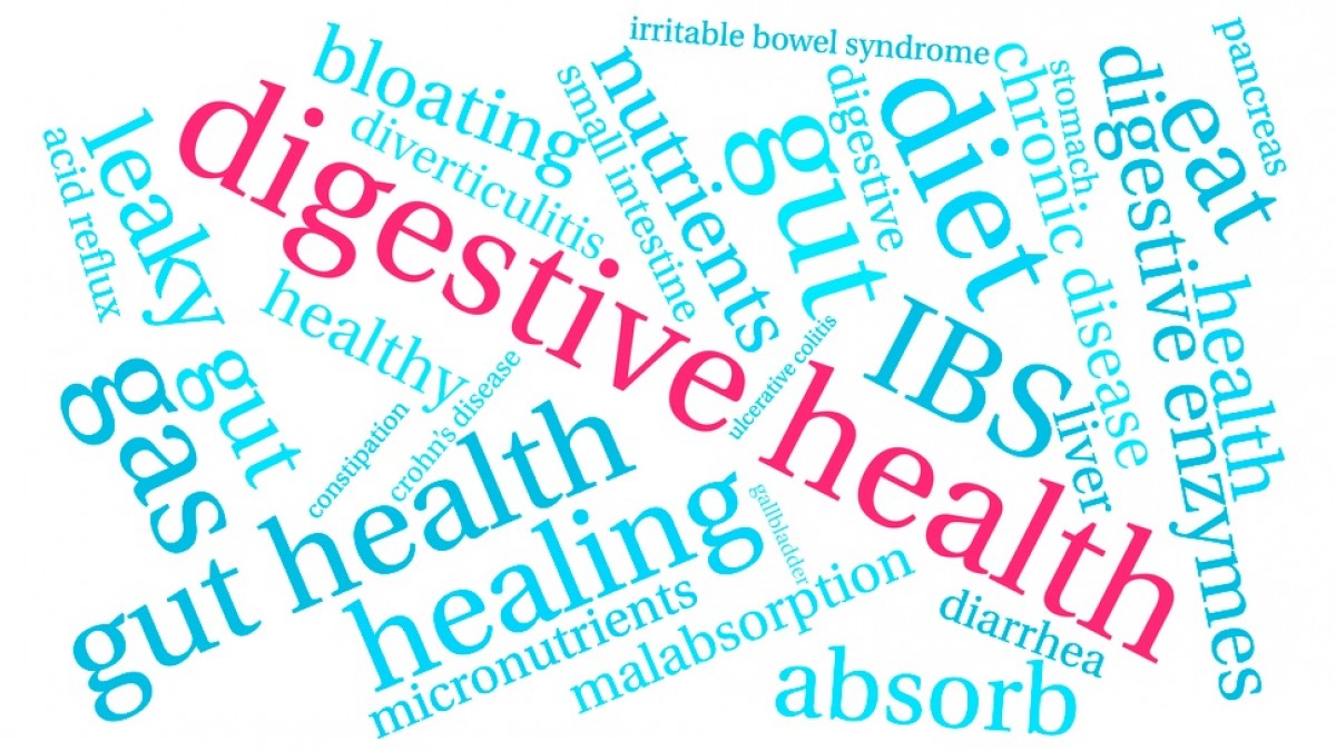 5 Best Super Greens Powder For Gut Health & Bloating That Works!