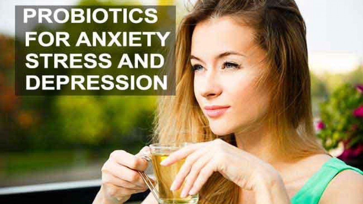 Best Probiotics For Anxiety, Stress And Depression Top Probiotic Supplements For Mental Health