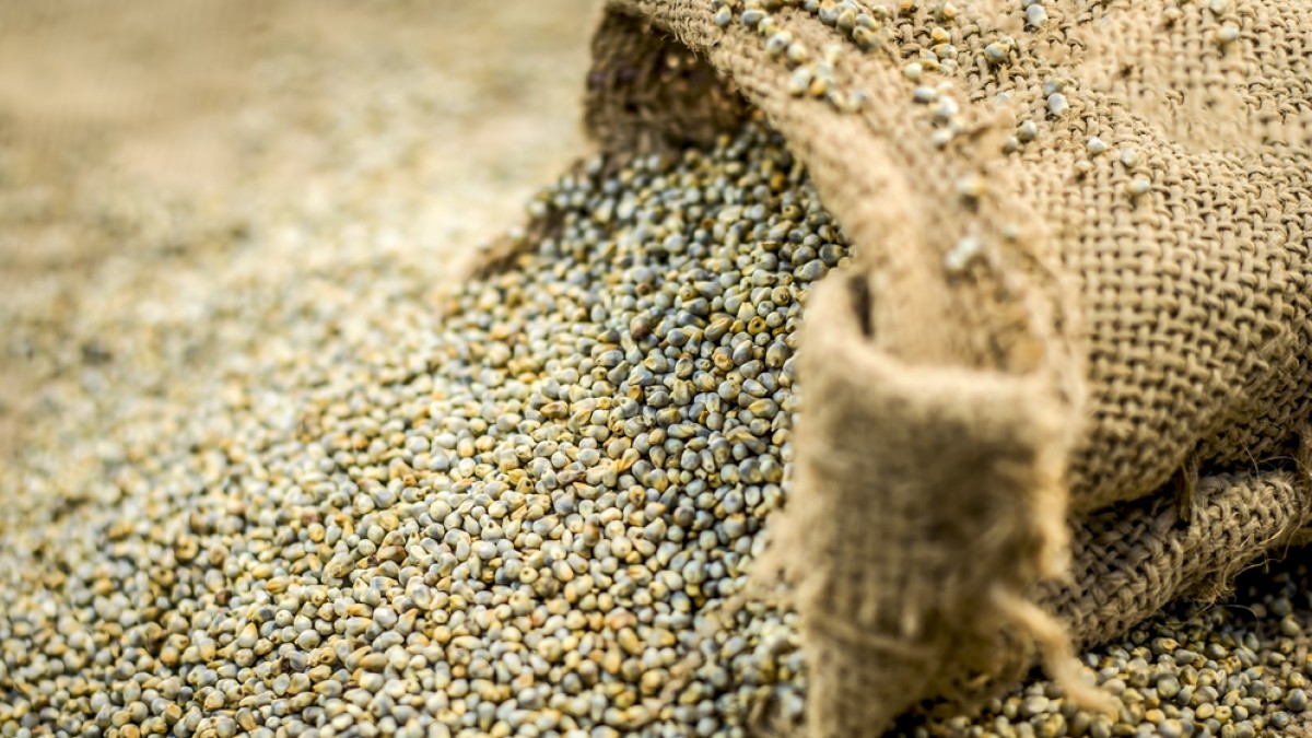 ITC Foods Adds Millet Cookies To Its Product Portfolio