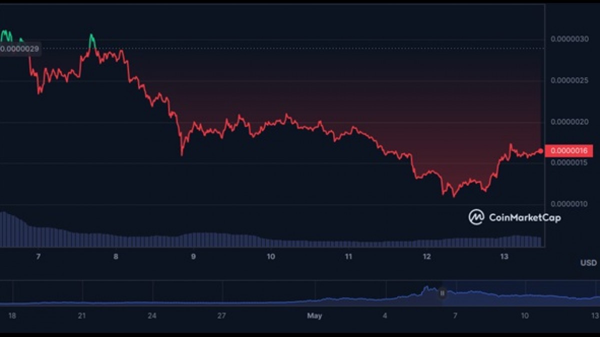 Pepe Hits New All-Time High As Investors Shift Their Focus To Another New Meme Coin - Vimarsana News