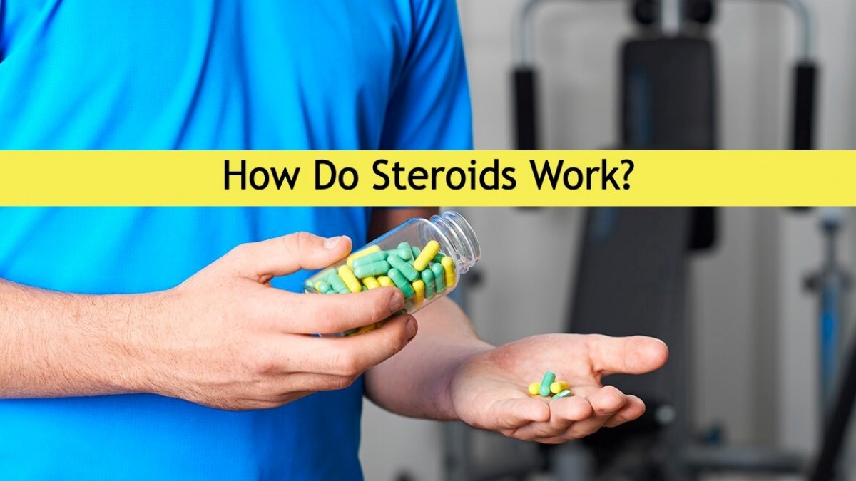 STEROID SOURCE STEROID SOURCE