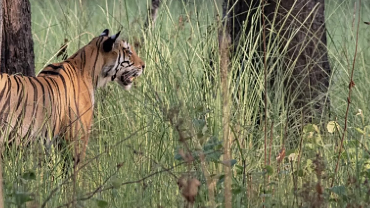 India's Objective for the next 50 years is to balance growth while