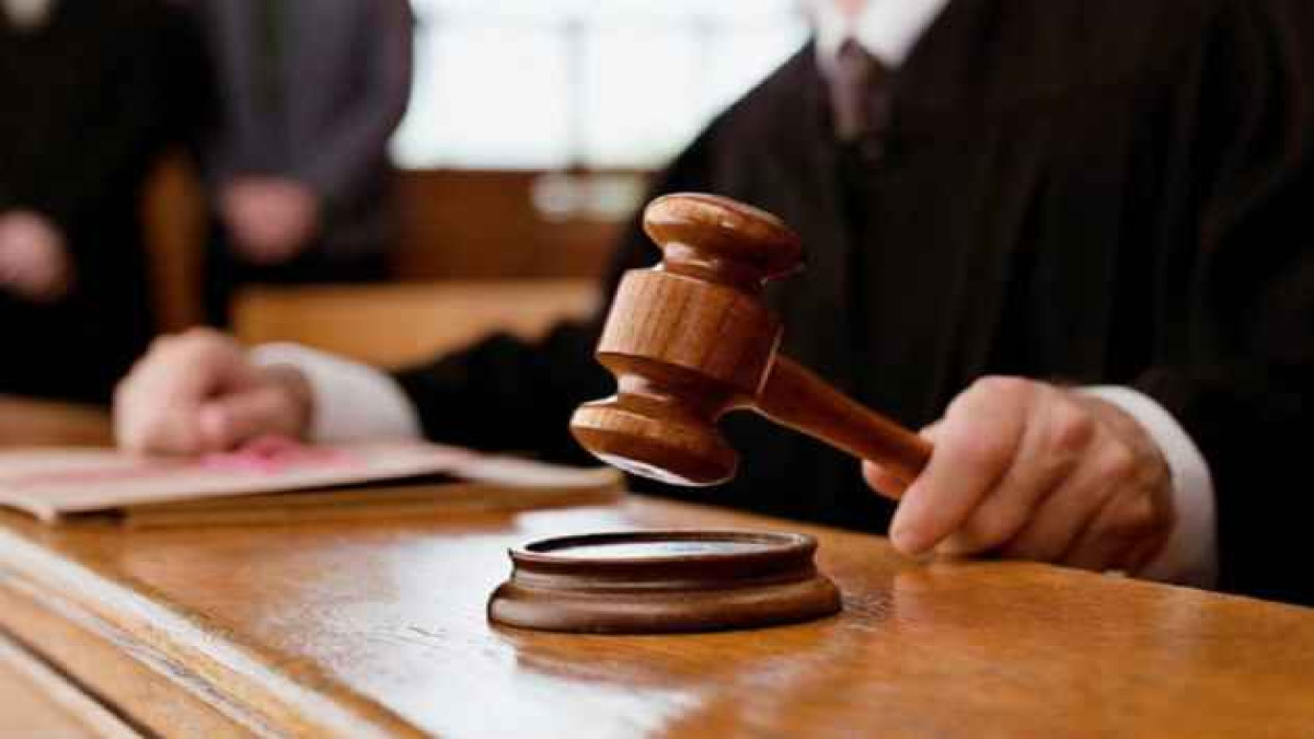 Berlin Court Denies Parents' Custody Claim, Transfers 27-Month-Old Ariha Shah To German Youth Welfare Office - Vimarsana News