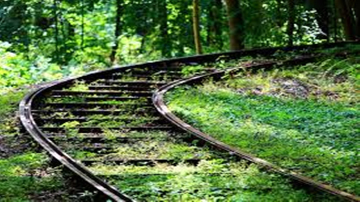 Maharashtra Commuters Block Rail Track Over Train Delay In Gondia