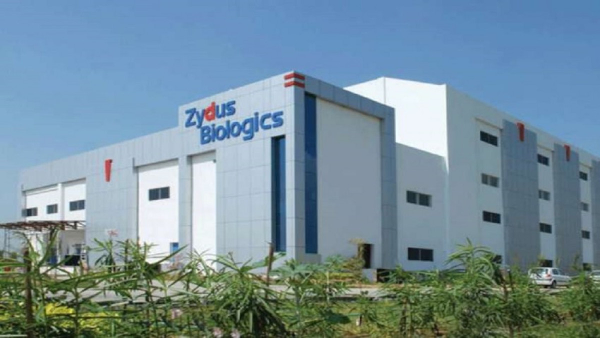 Zydus Lifesciences Gets USFDA Nod For Generic Rheumatoid Arthritis Zydus Chartink