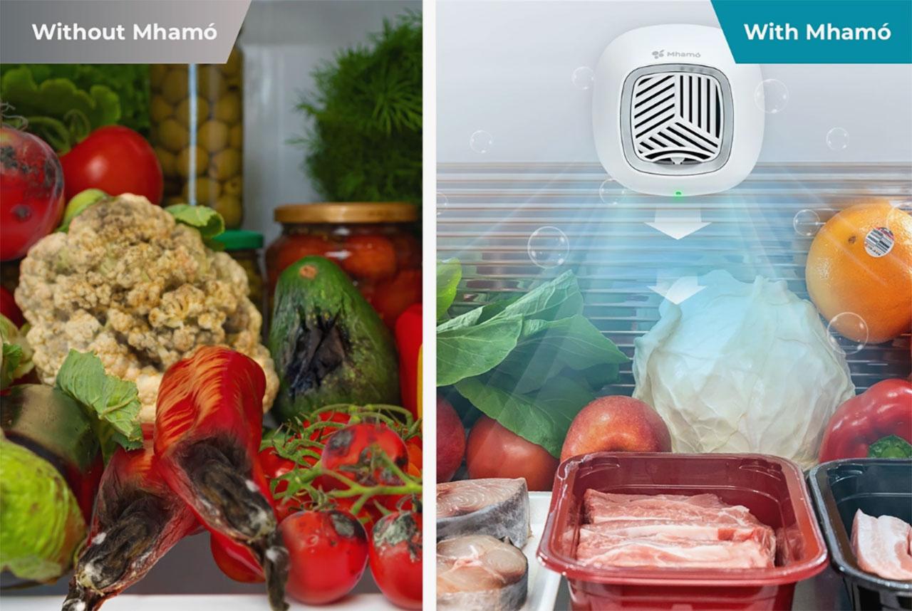 Mhamo Freshness Extender Reviews Fake Or Legit? Does It Keep Food