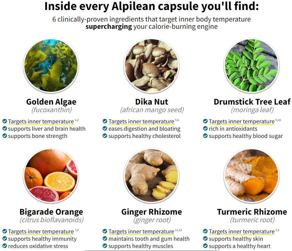 Alpilean Supplement Ingredients Alpilean Supplement Ingredients