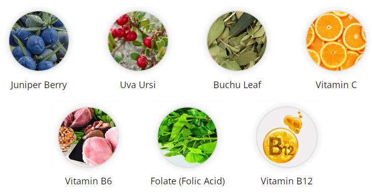 Ingredients Ingredients