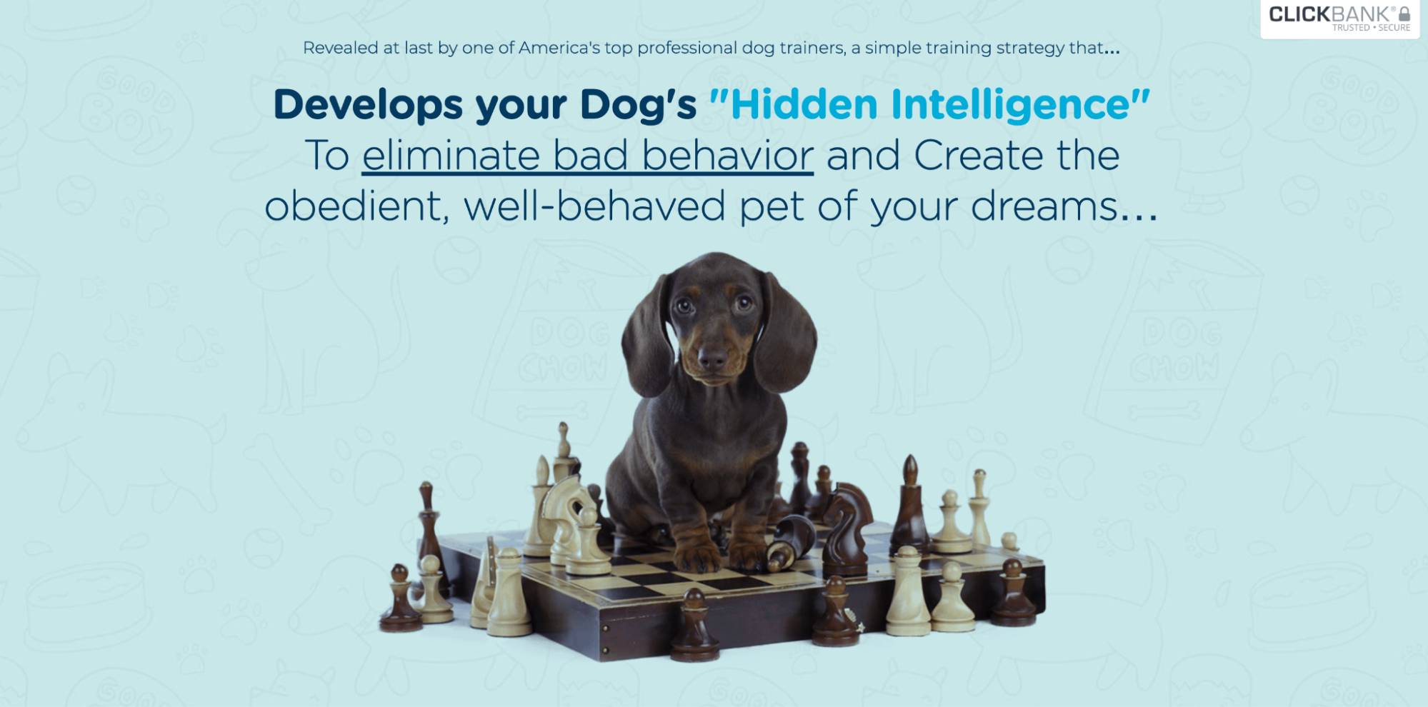 Best Online Dog Training Courses In 2023